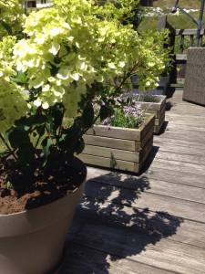 19369584_10213820842613041_495146642_n